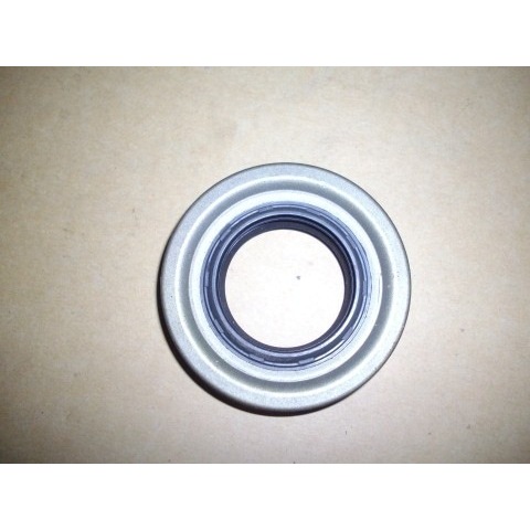 Oil Seal Front Diff L/side