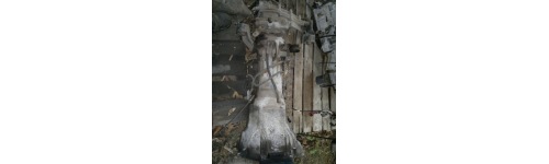 D5 Transmission